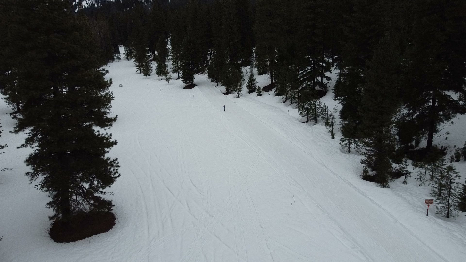 Drone flyback over snowy Cascades forest